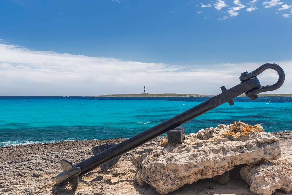 Occidental Menorca (adults Only) 4* Punta Prima (Menorca)