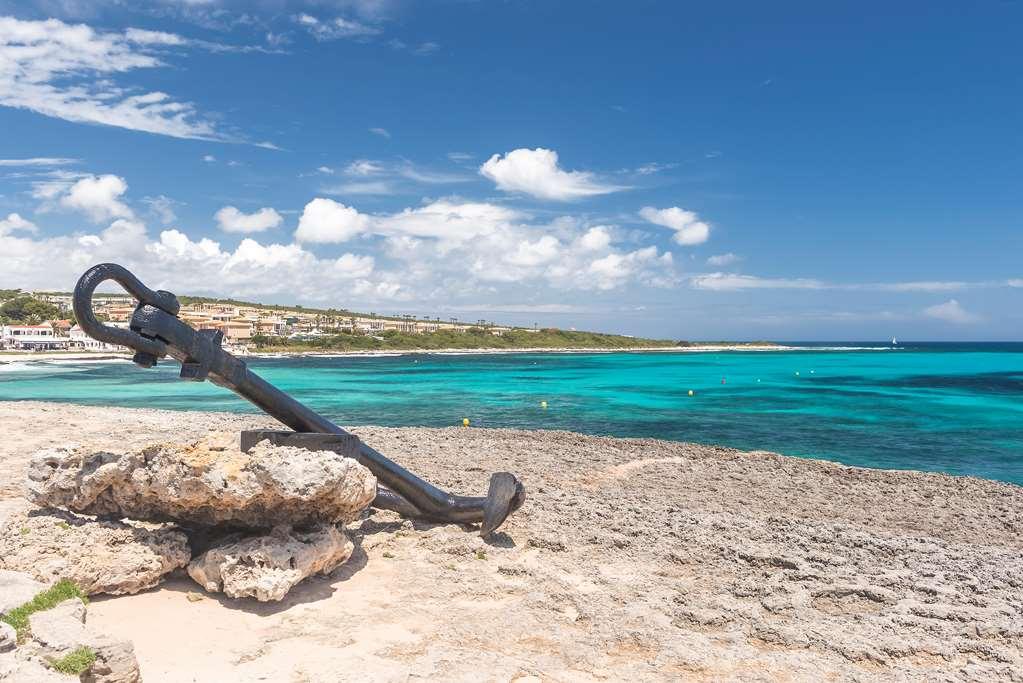 Occidental Menorca (adults Only) Hotel Punta Prima (Menorca)