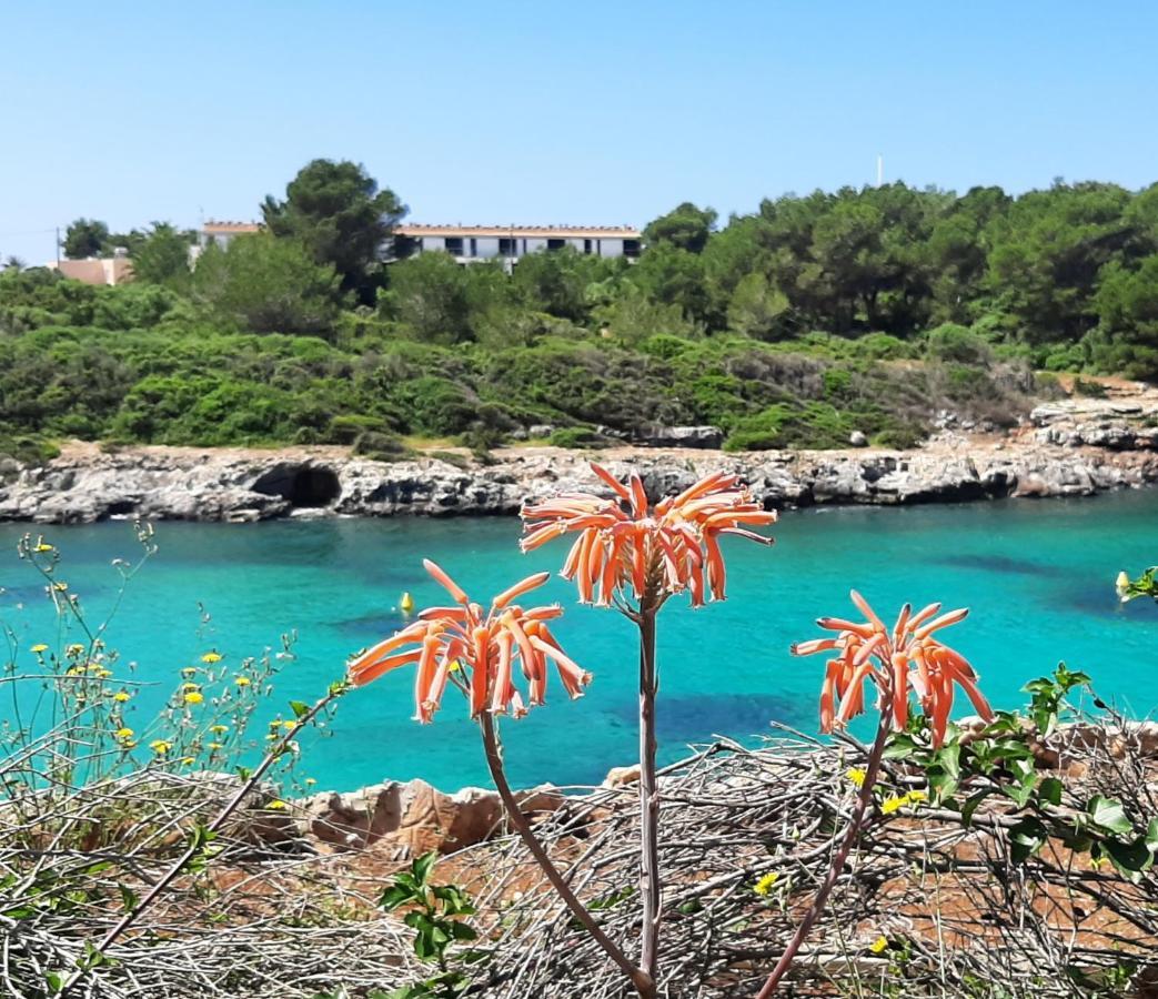 Atico Playa Santandria Con Piscina Y Wifi