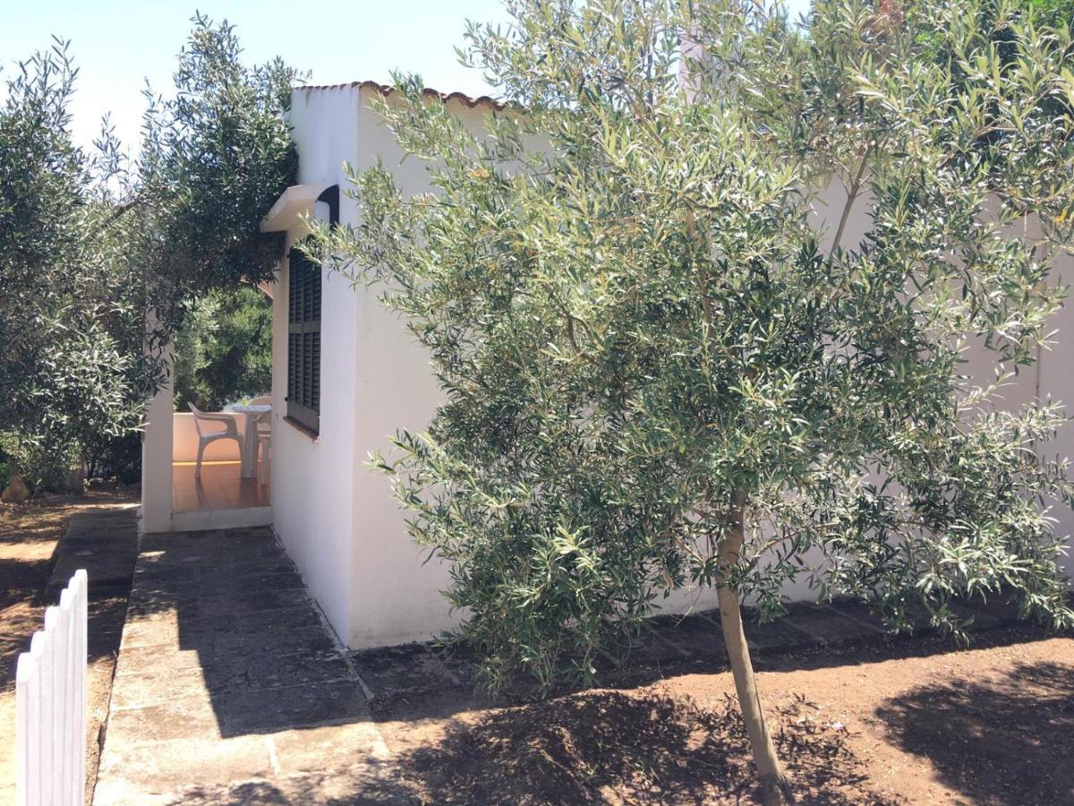 Apartment Blavaria Cala en Forcat