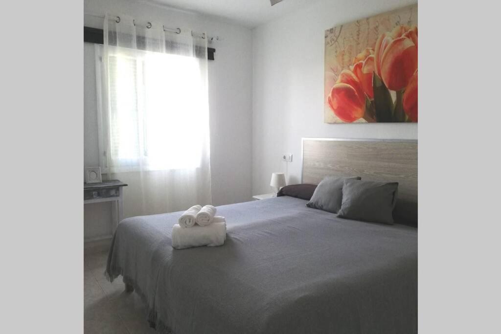 Biniforcat Cb Apto 52 Ideal Place For