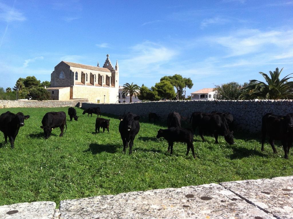 Agroturismo Llucmacanes Gran *