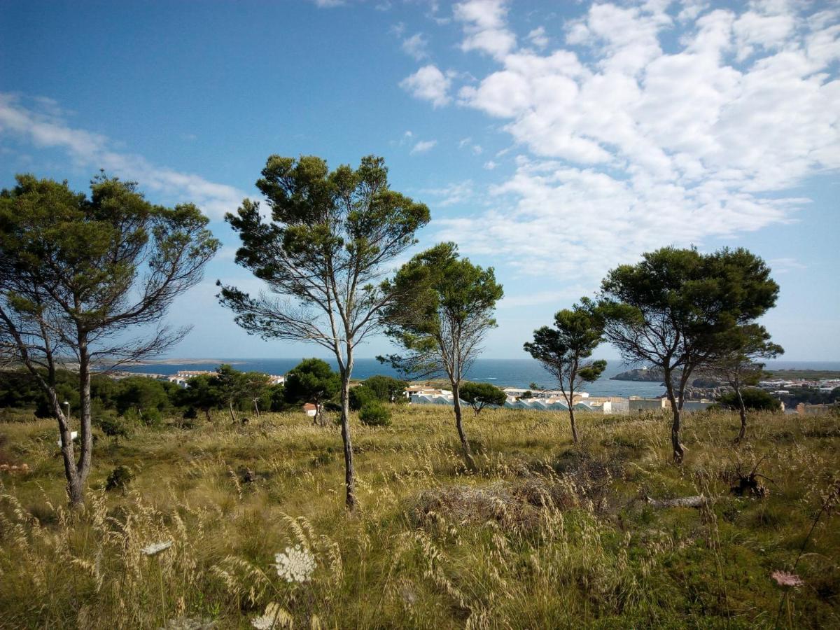 Castellsol Arenal Apartamento Punta Grossa