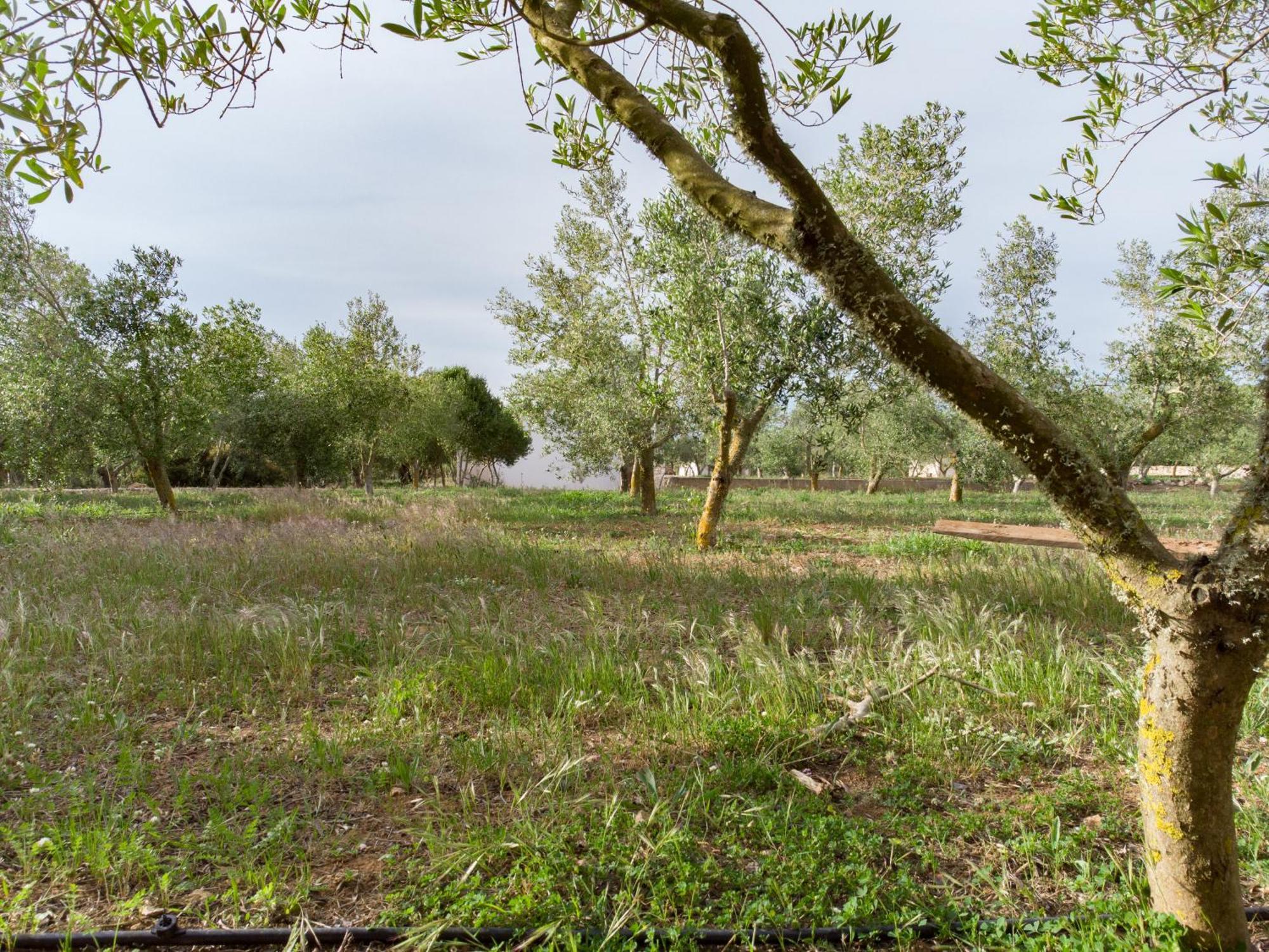 Malbuger Nou Menorca -adults Only- *