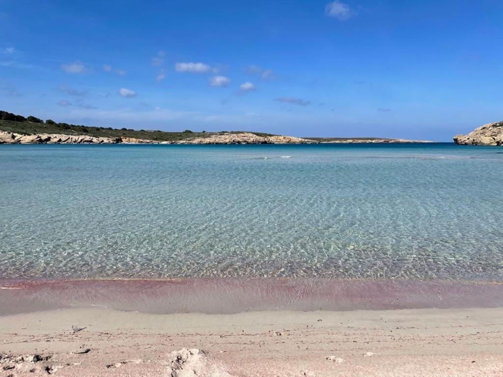 Brisa De Menorca Apartment