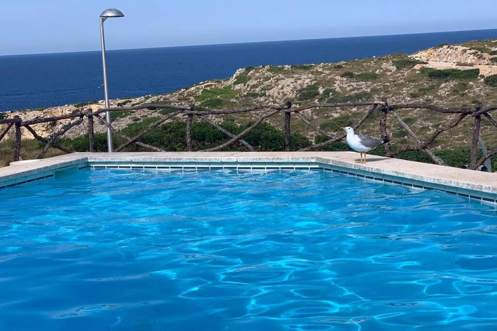 A Estrenar Con Vistas Al Mar. Apartamento