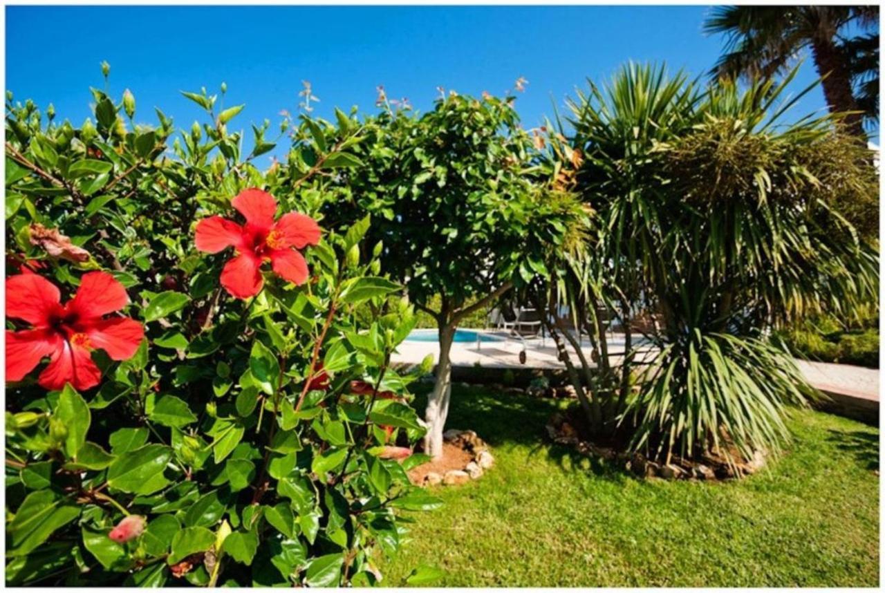 Villa Bini Cel For 6 Pax Heated Pool On Request *