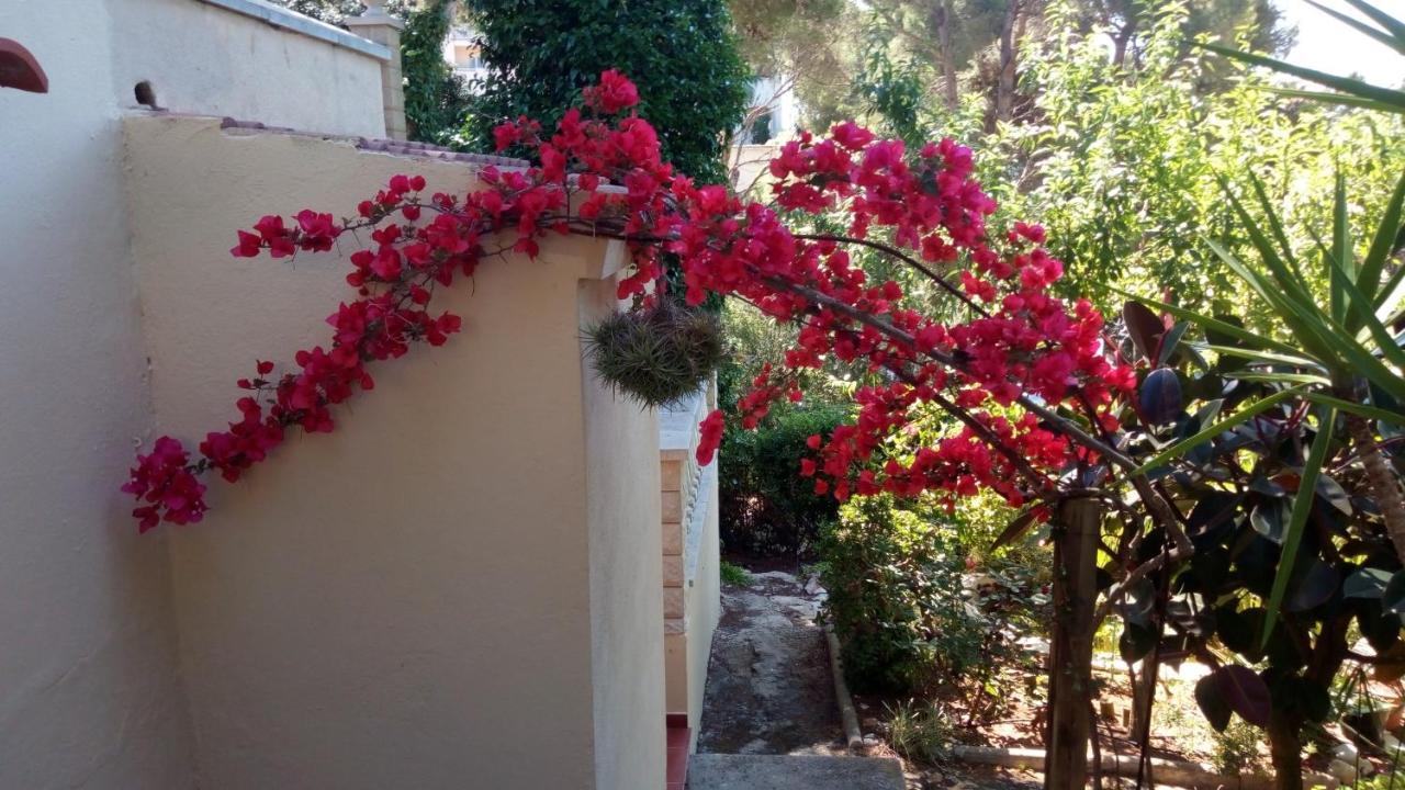 Casa Montse Holiday home *
