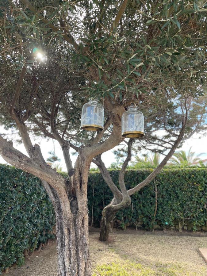 Menorca Lirio By Mauter Villa Cala'N Bosch (Menorca)
