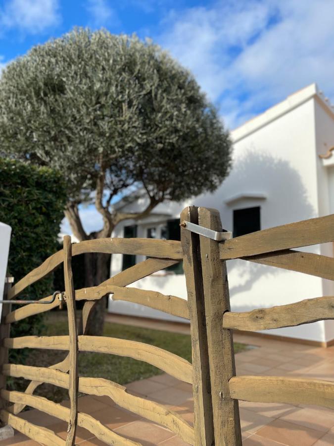 Menorca Lirio By Mauter Villa