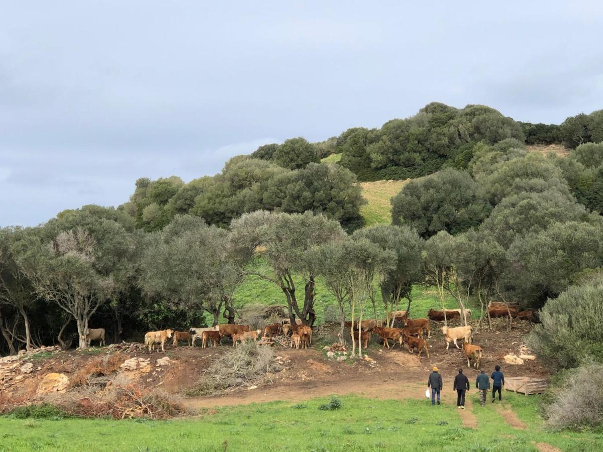 Casa Rural Reformada Bini Aumaia