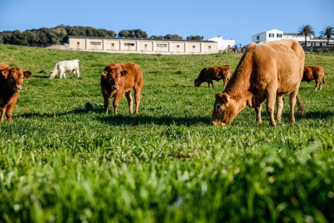 Casa Rural Reformada Bini Aumaia Es Mercadal