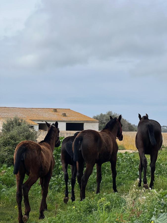 Islanders Menorca Country Club Villa *