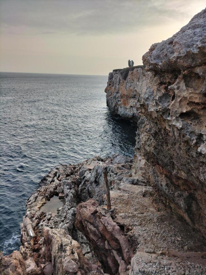 Grupoandria Julia * Cala'n Forcat