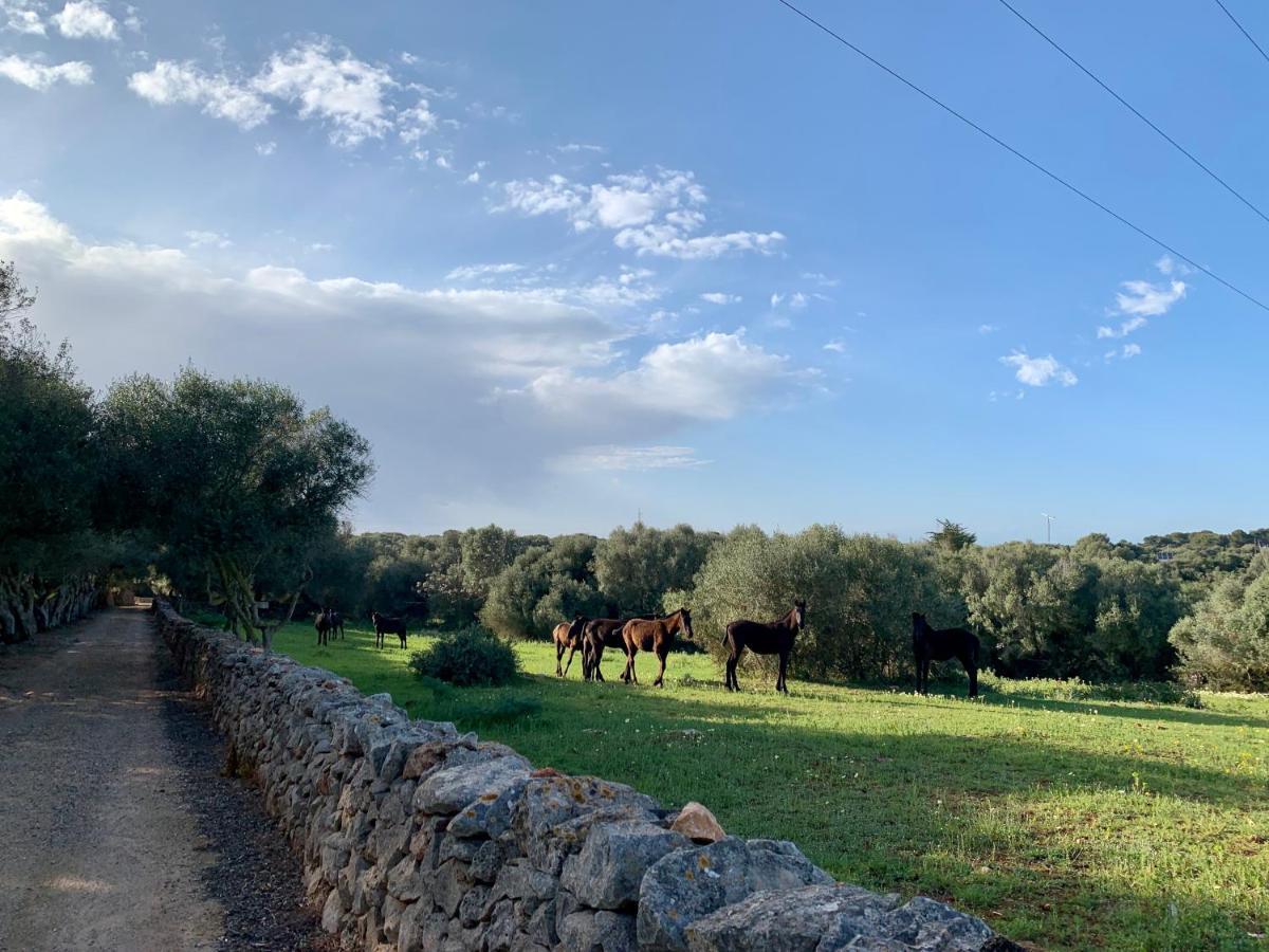 Islanders Menorca Country Club * Son Carrio (Menorca)