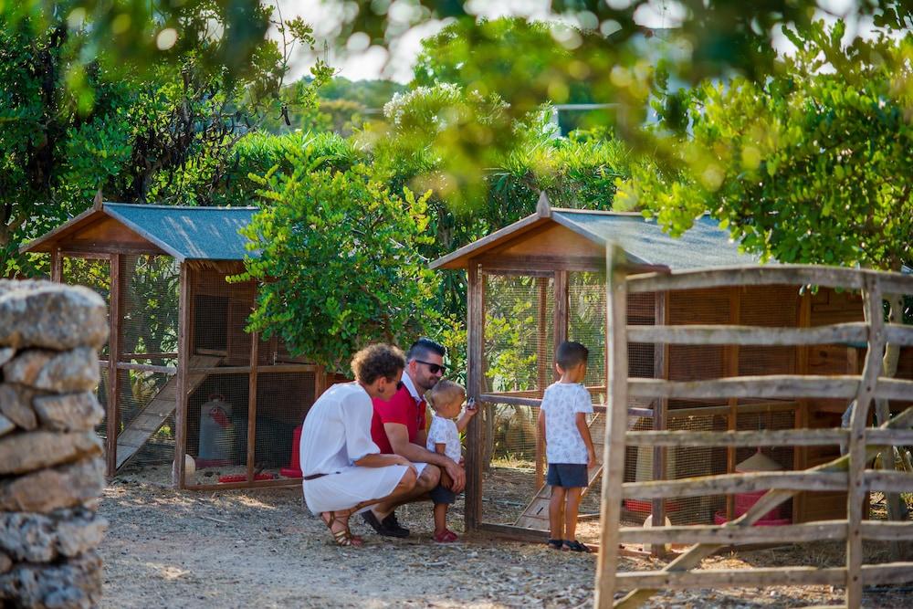 Rural Sant Joan De Binissaida 4*
