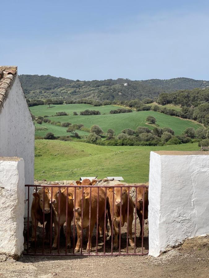 Casa rural Casa Rural Reformada Bini Aumaia Es Mercadal