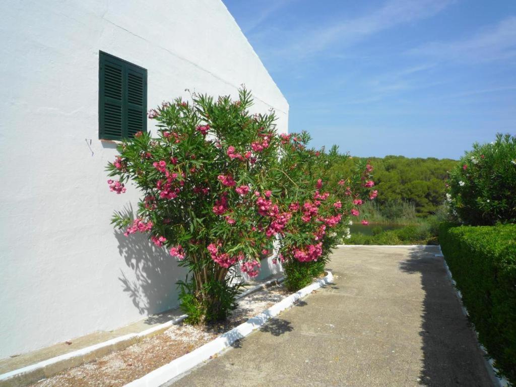 Villa Ferrer