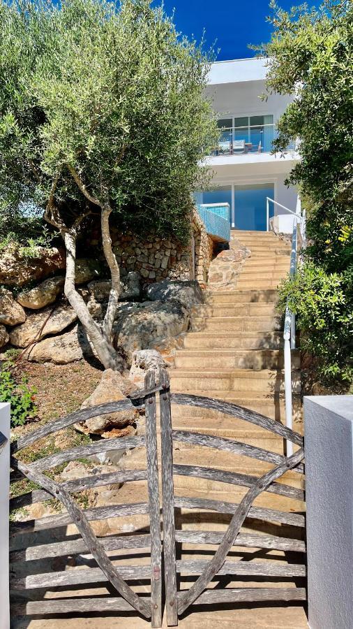 Tin Coves Noves Villa *