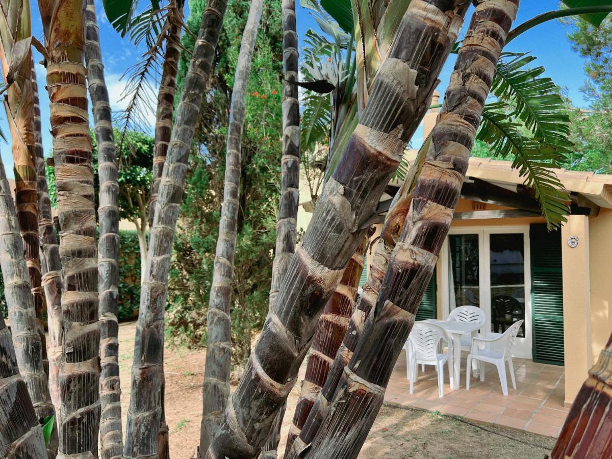 Bungalow Tropical Nº6 -
