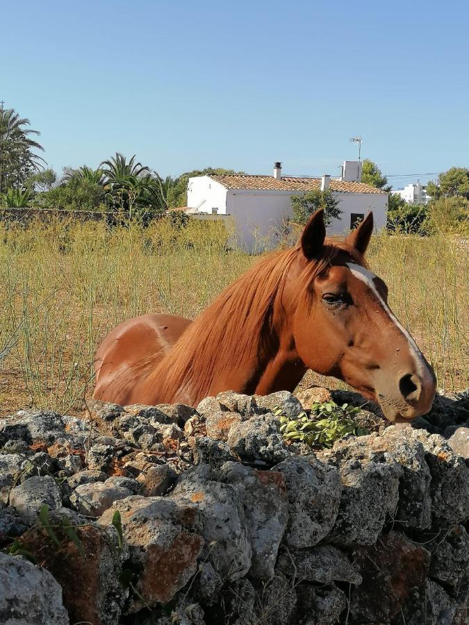 Apto. S'aigua Dolca 4 Son Carrio (Menorca)