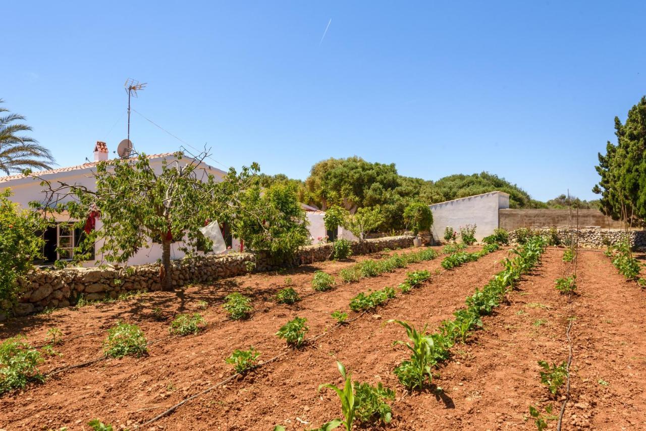La Martina Villa Sant Lluís