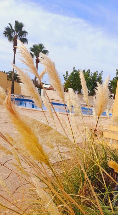 Apartamento Con Piscina En Ciudadela, Cala En Blanes Apartamento Cala'N Blanes (Menorca)