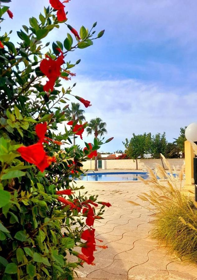 Apartamento Con Piscina En Ciudadela, Cala En Blanes Apartamento *