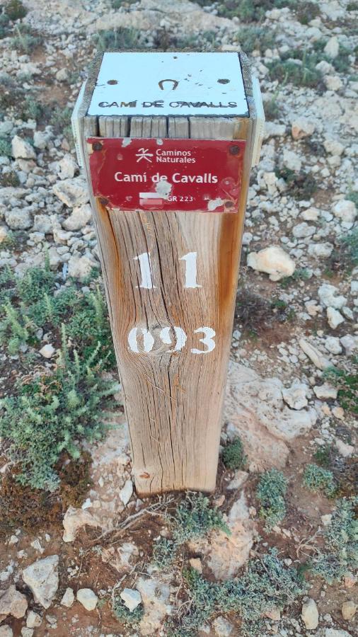 Apartment Addaia Coves Noves Playa Arenal D'en Castell *