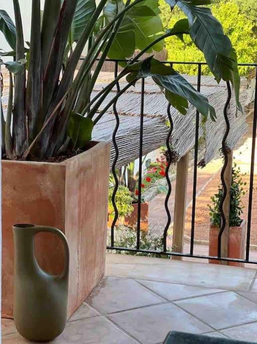 Didi House - Charming In Downtown Mahon