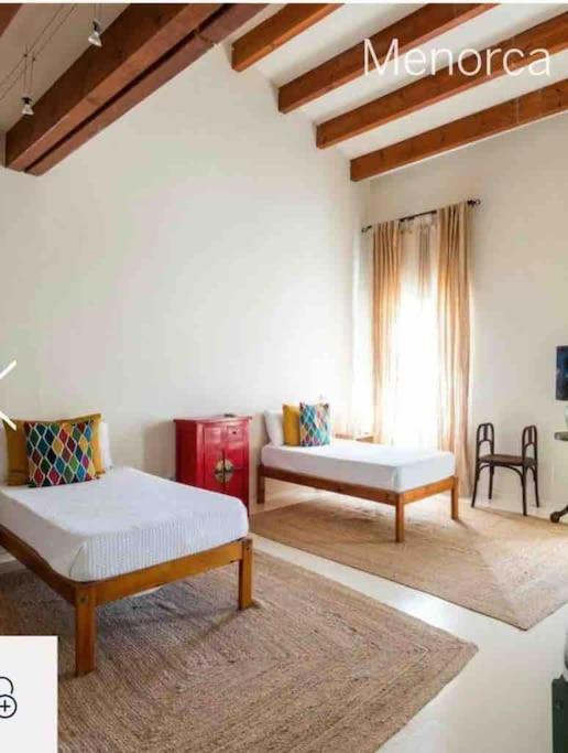 Didi House - Charming In Downtown Mahon