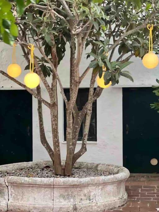 Didi House - Charming In Downtown Mahon Maó (Mahón)