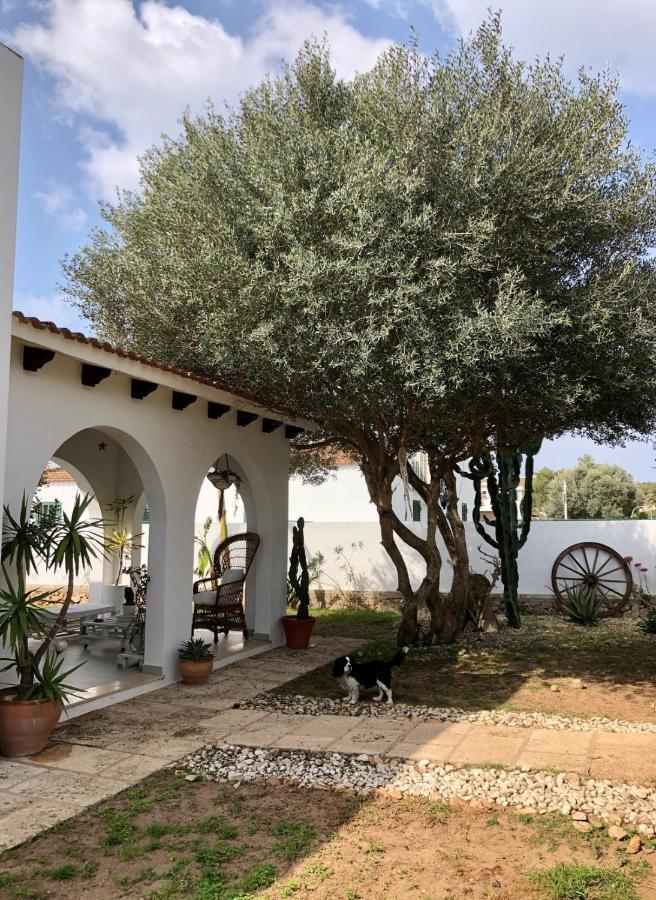 Casa Con Jardin Privado Y Cerca Del Mar Apartamento