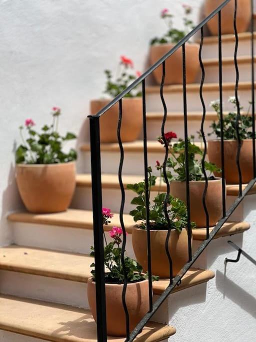 Didi House - Charming In Downtown Mahon *