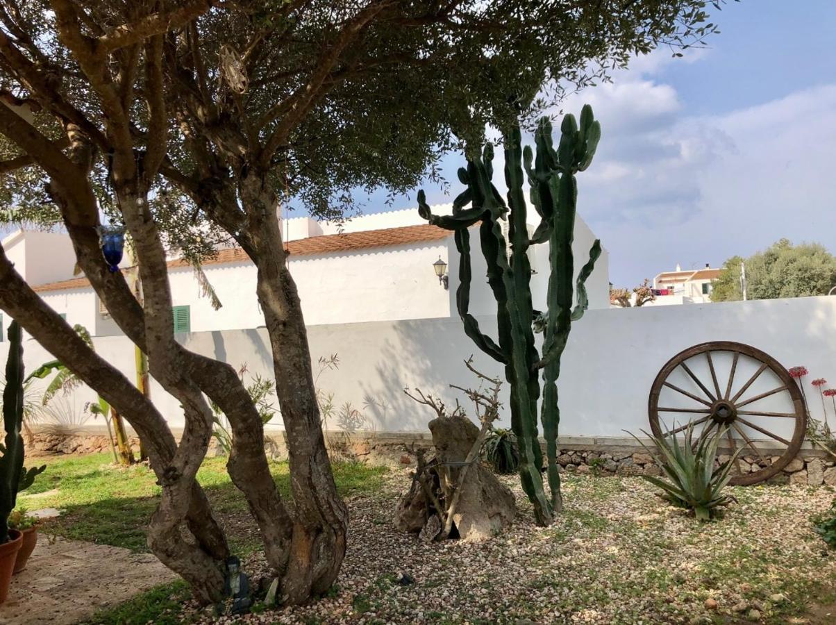Apartamento Casa Con Jardin Privado Y Cerca Del Mar *