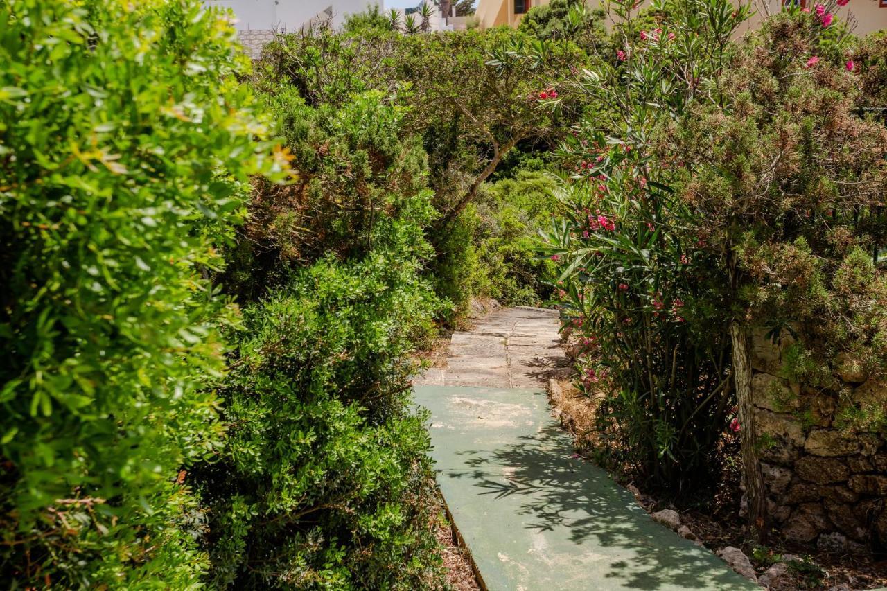 Arien * Cala'N Blanes (Menorca)