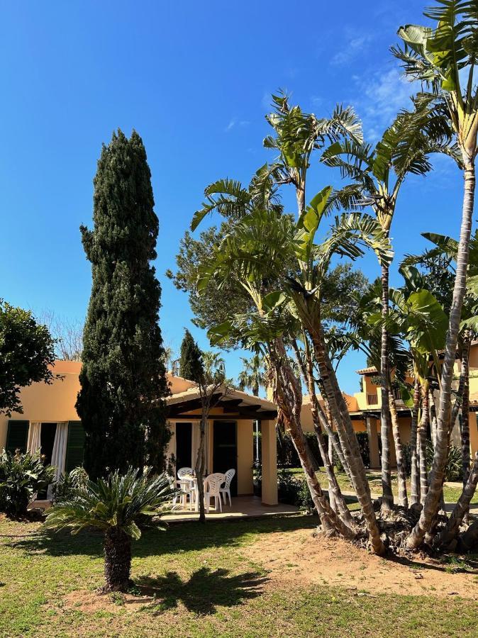 Apartment Bungalow Tropical Nº6 -