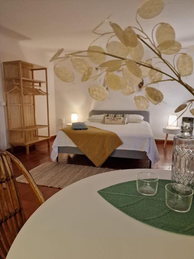Mongofre Farm stay