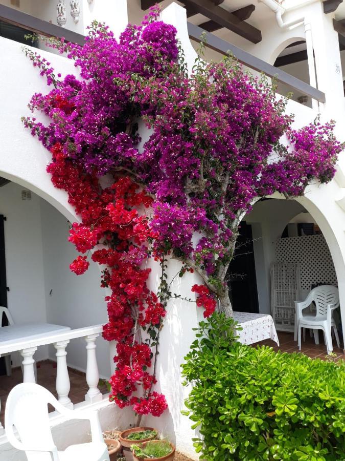 Sea View Apartamento Arenal d'en Castell