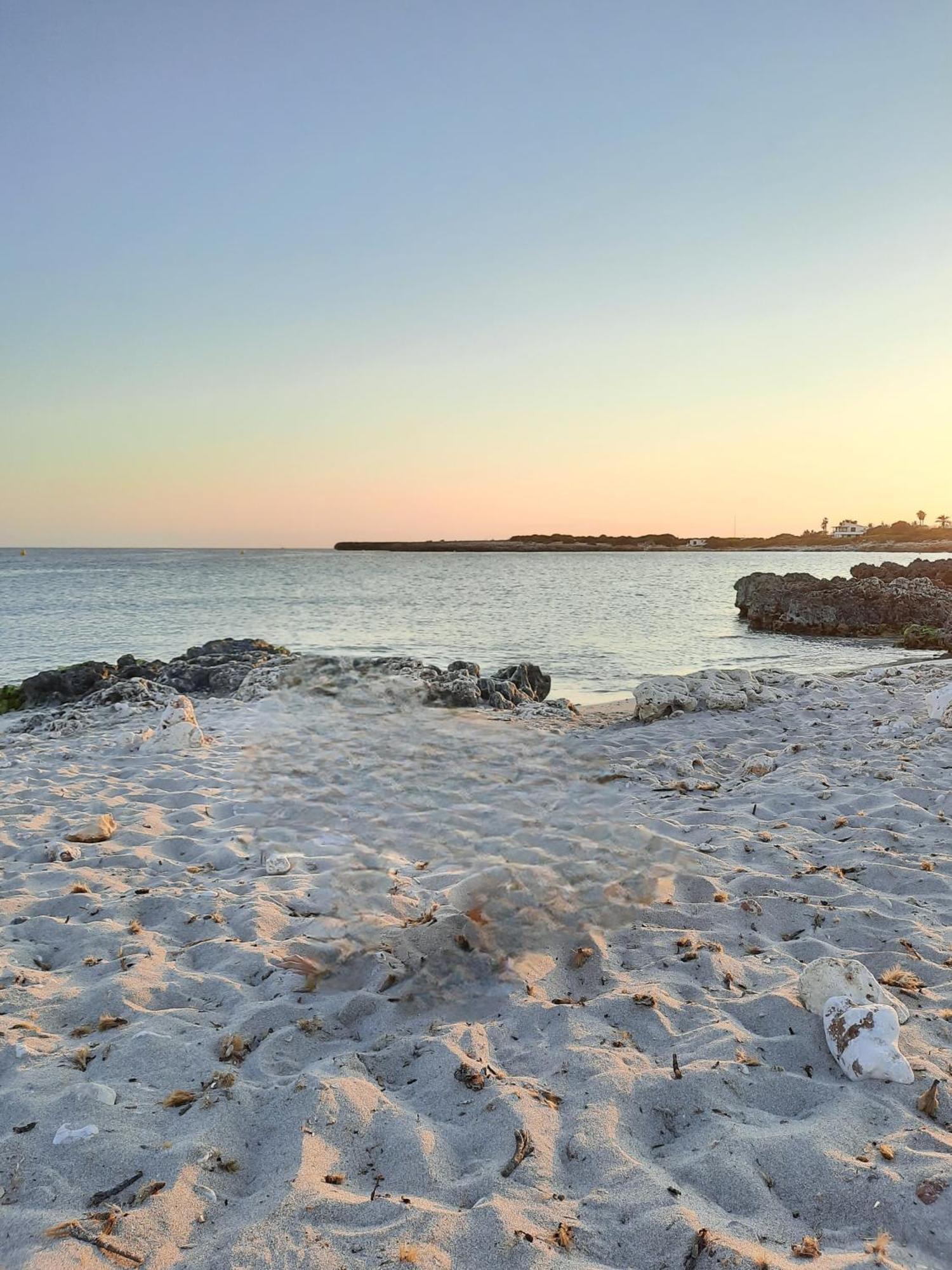 Playa Xoriguer Con Piscina Y Jardin