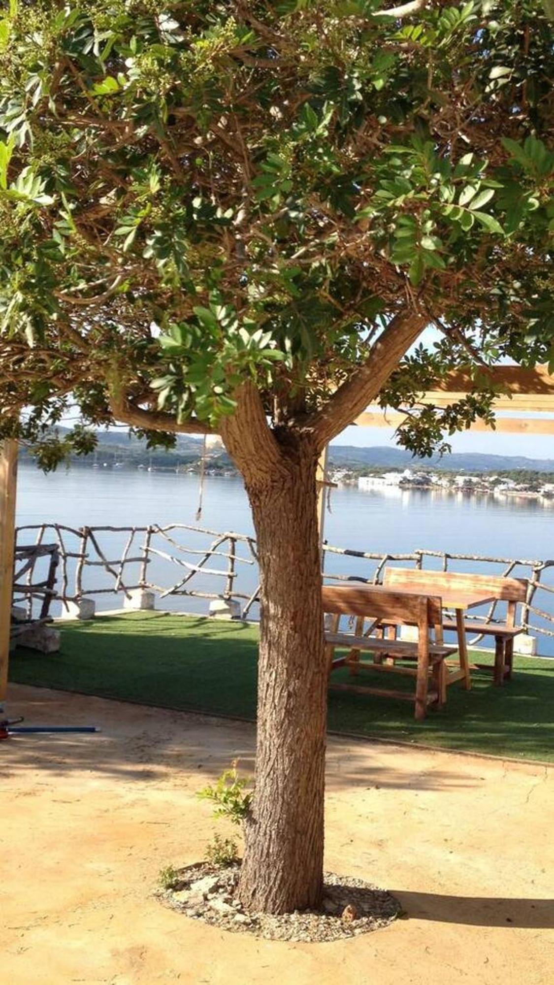 Сasa de vacaciones 4 Bedrooms Property At Fornells 100 M Away From The Beach With Shared Pool And Wifi