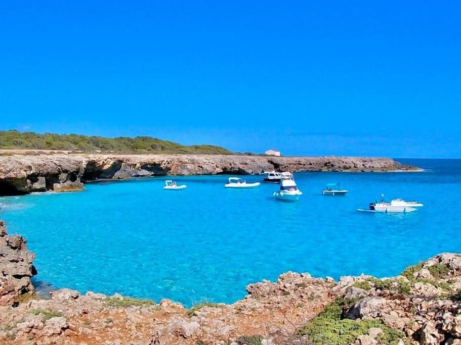 La Vall En Planta Baja Con Piscina Apartamento