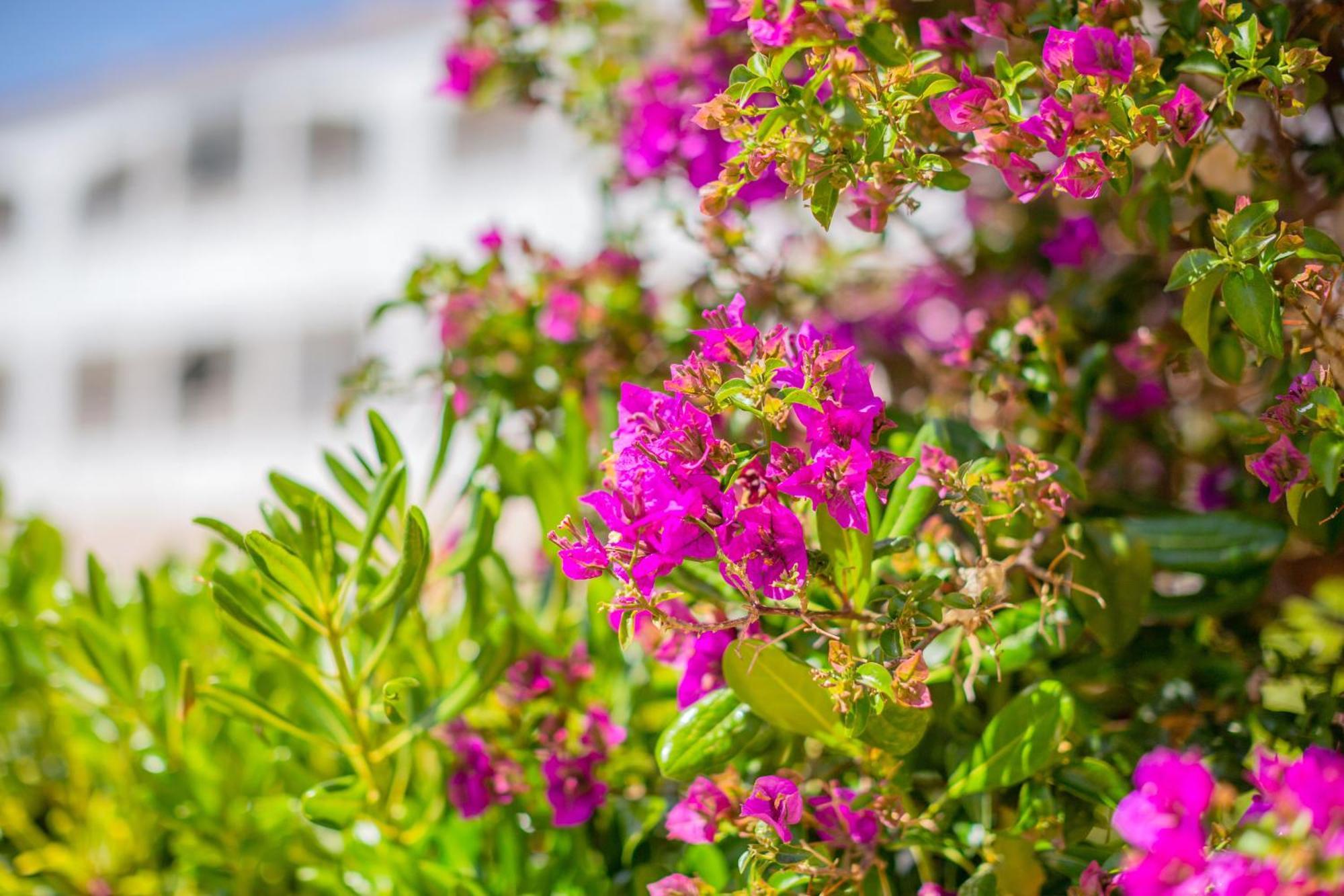 Apartment Apartamento Cala'n Blanes Park Cala'N Blanes (Menorca)