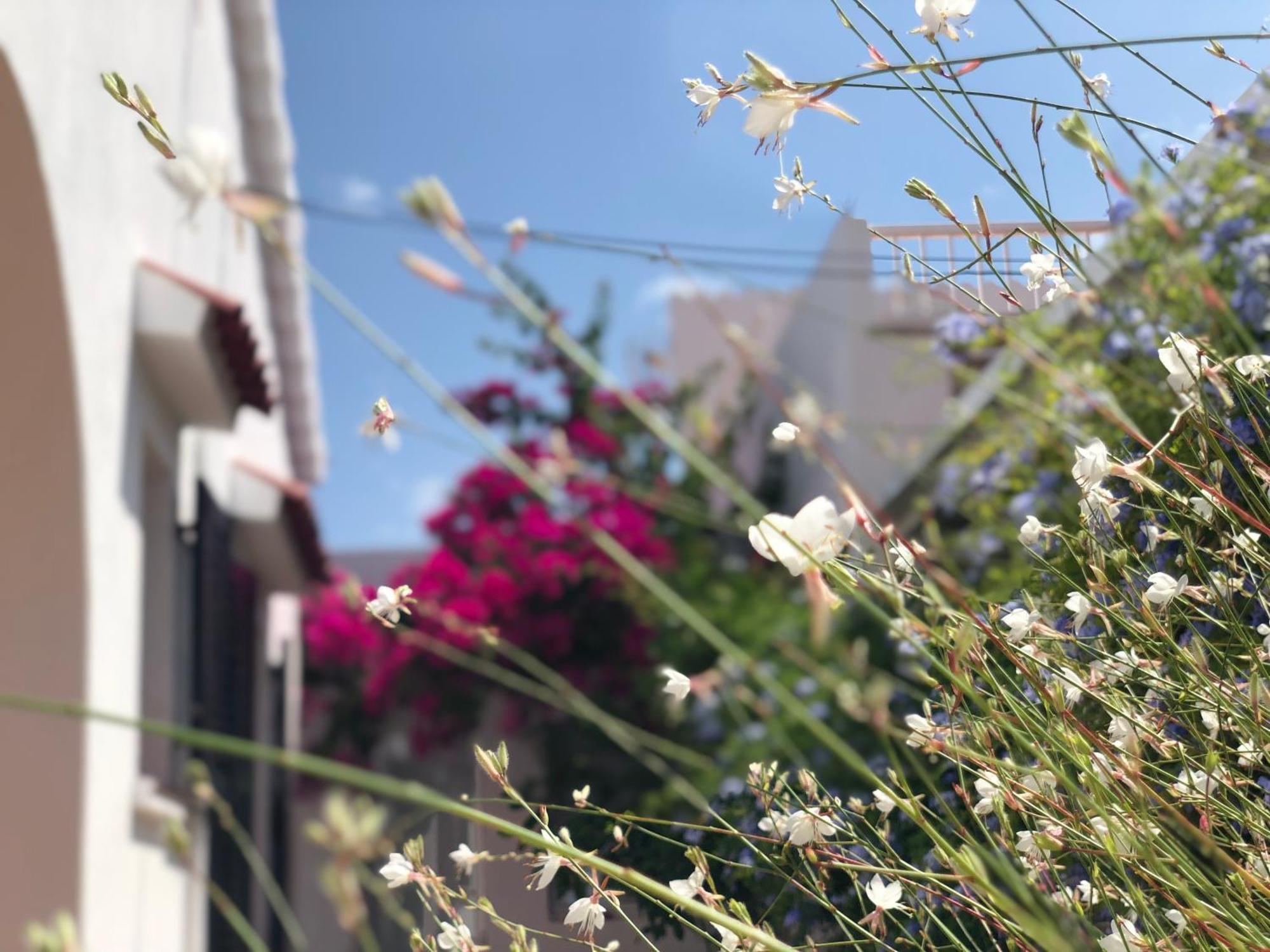 Casa Típica De Ciutadella Centro * Ciutadella (Menorca)