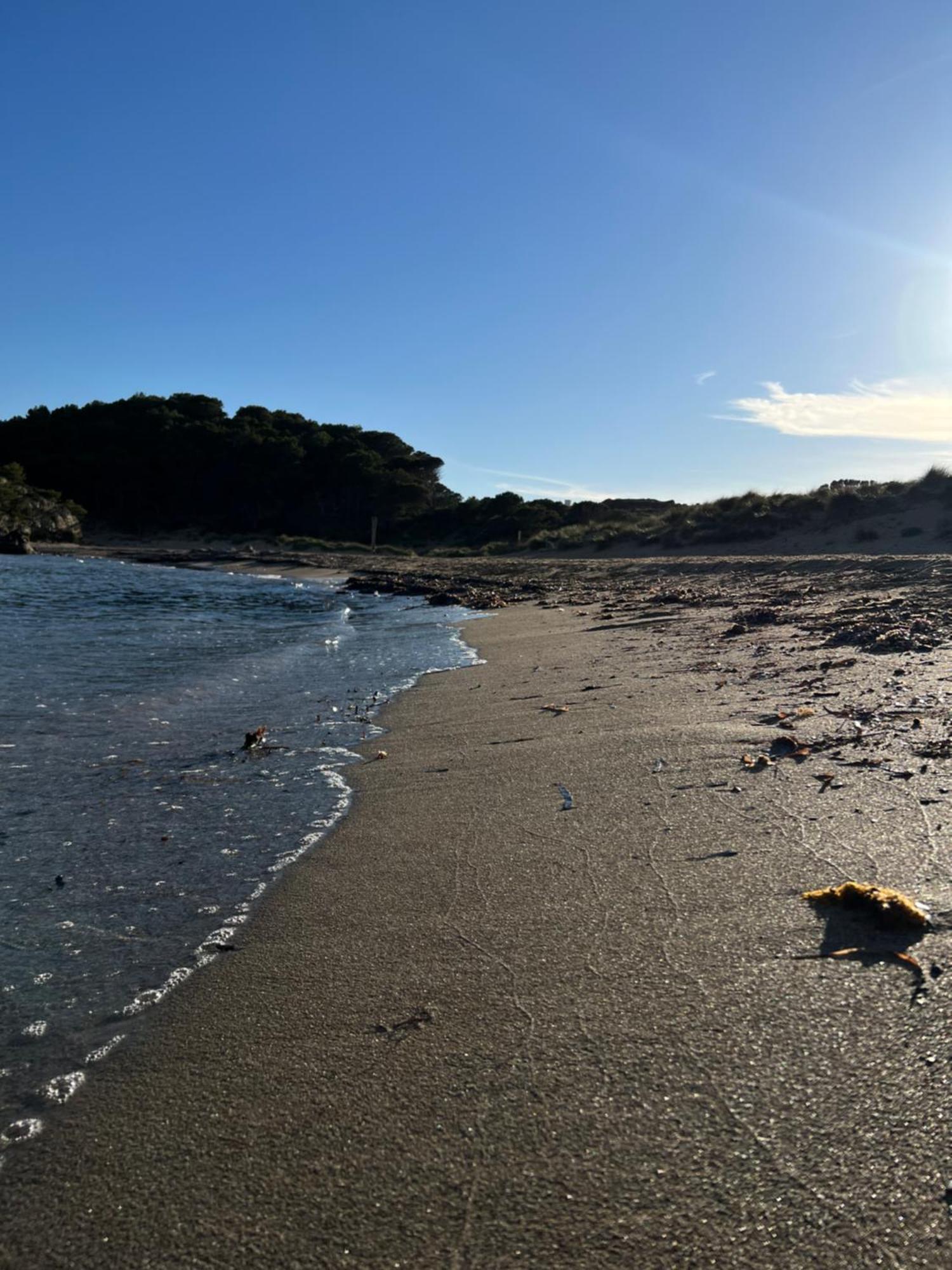 Mongofre * Mahon (Menorca)