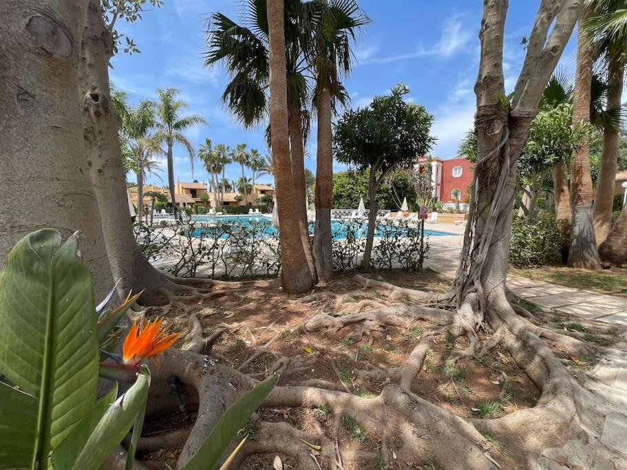 Apartament Z Widokiem Na Morze Son Xoriguer