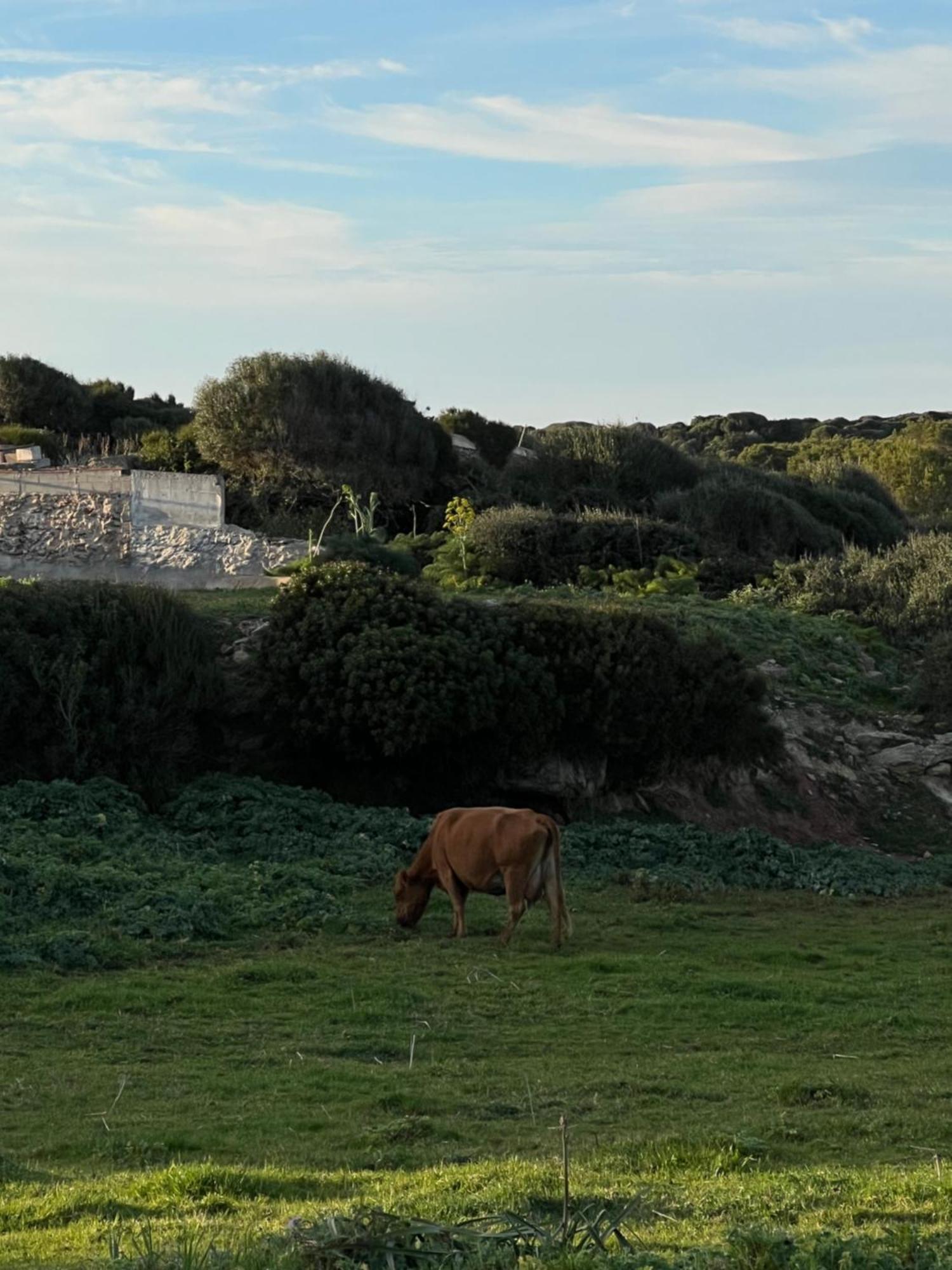 Farm stay Mongofre