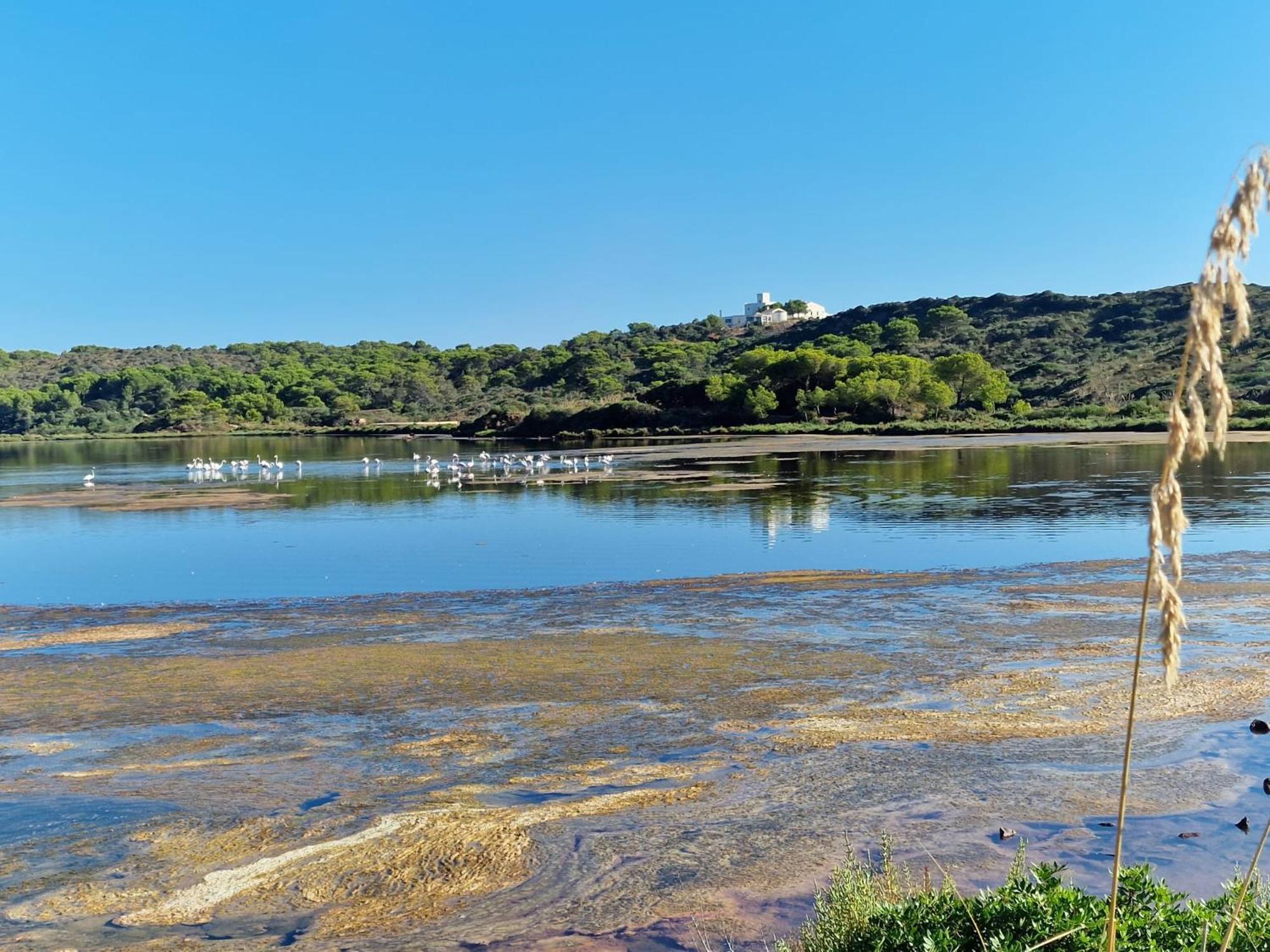 Mongofre Farm stay Mahon (Menorca)