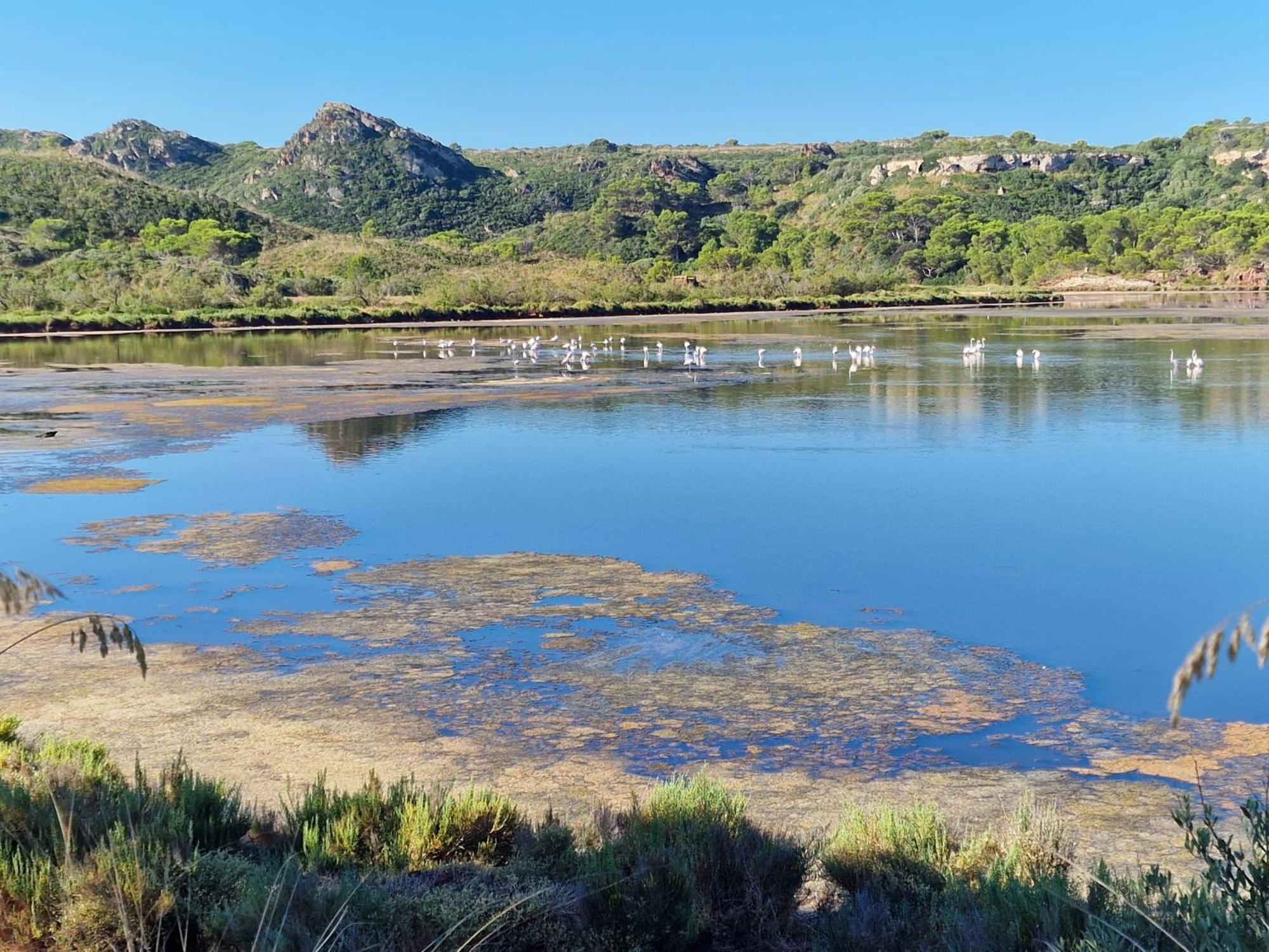 Farm stay Mongofre Mahon (Menorca)