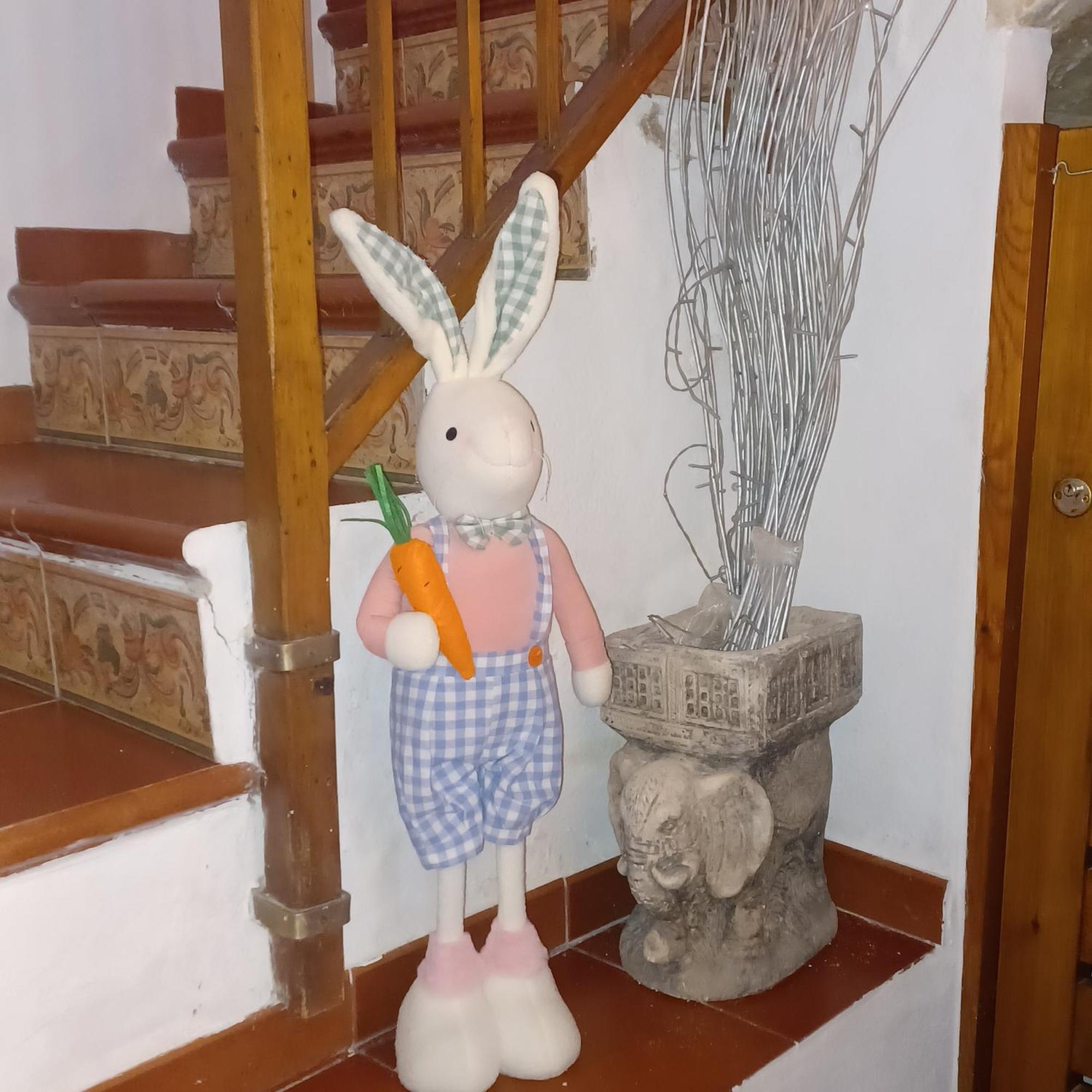 Сasa de vacaciones Casa En